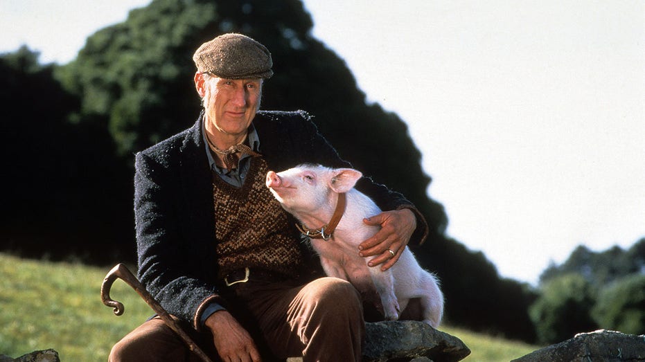 James Cromwell Babe
