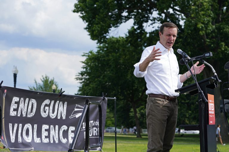 Bipartisan Senate group reaches deal on gun reforms