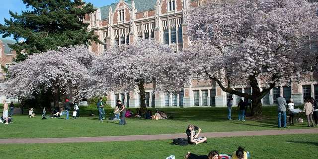 Another view of the University of Washington's campus in Seattle.  