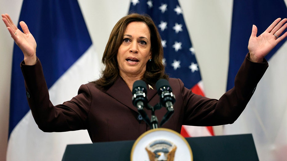 Vice President Kamala Harris speaks during a press conference in Paris