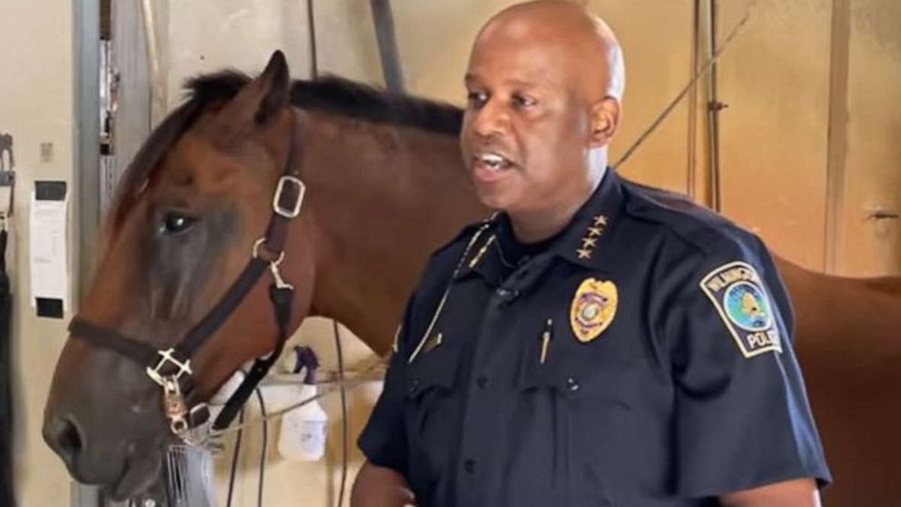 PHOTO: A 19-year-old police horse named Elton is recovering after he was hit by an alleged drunk driver while on patrol -- the second such incident in the 16-year veteran’s career on the force.