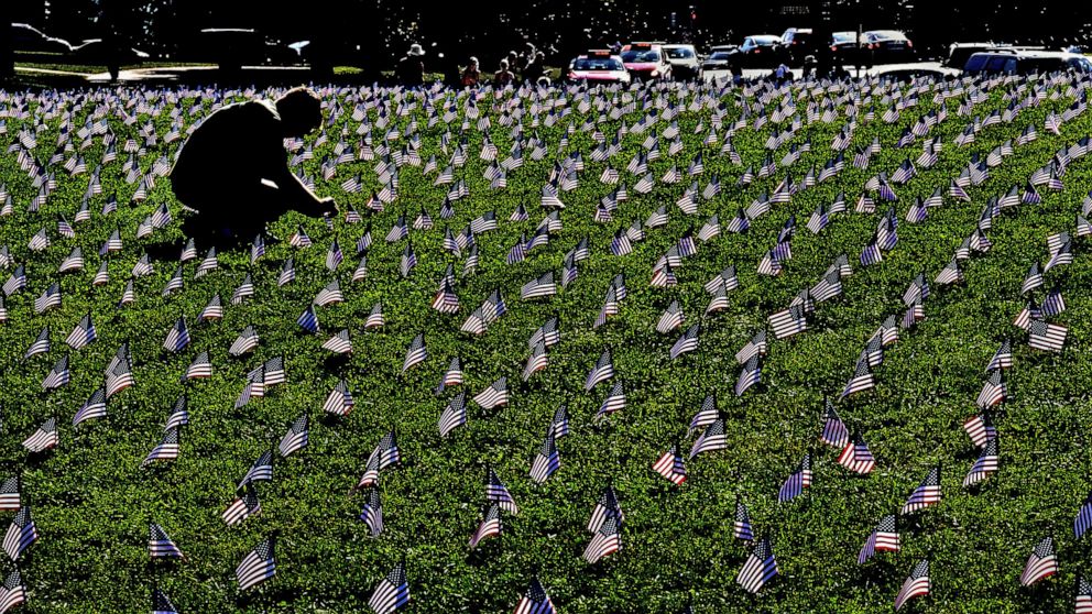 PHOTO: American flags are planted on a grassy area of the National Mall in Washington to represent veterans or service members who died by suicide in 2018, Oct. 4, 2018.