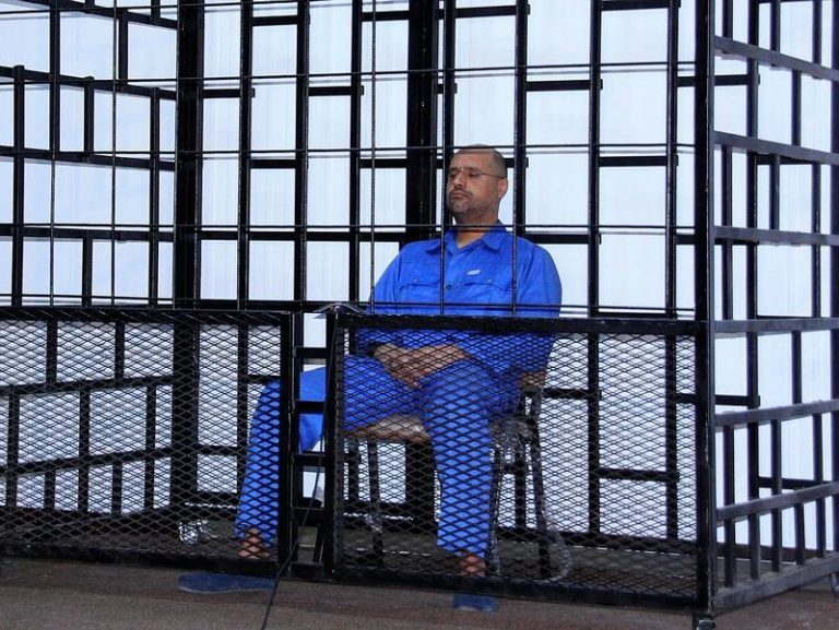 Gaddafi son in good health, following politics: family lawyer