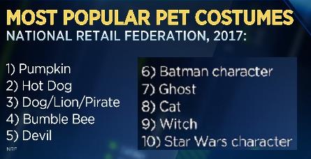 Halloween isn’t just for humans anymore, with millions now getting their pets in on the action
