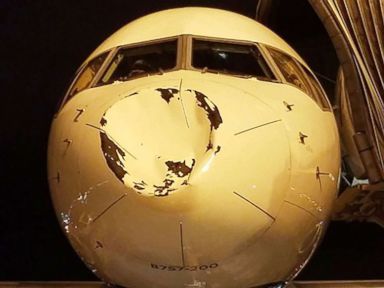 Oklahoma City Thunder’s plane has its nose crushed by apparent bird collision
