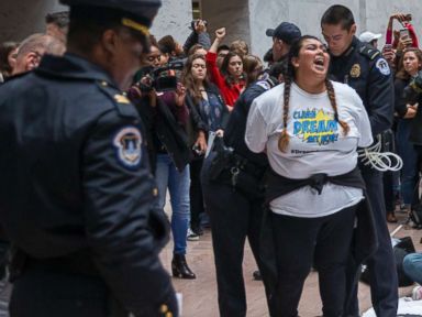 15 Dreamer protesters arrested on Capitol Hill