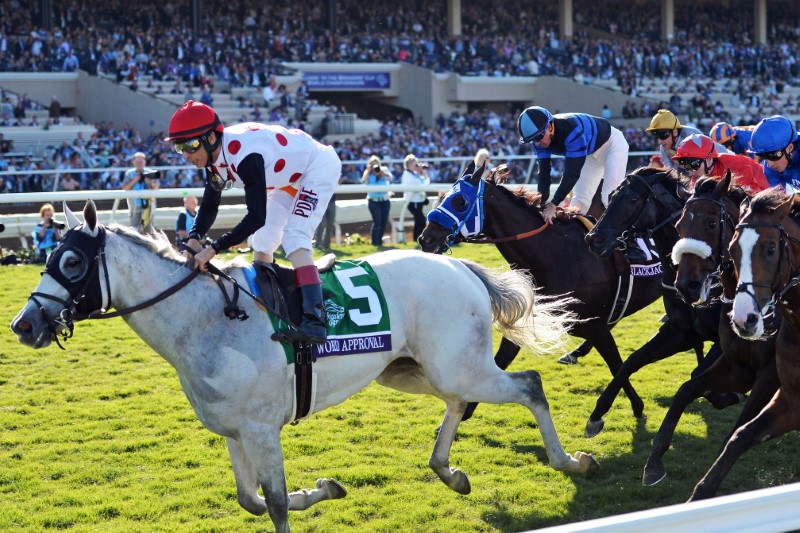 Horse Racing: 34th Breeders Cup World Championships
