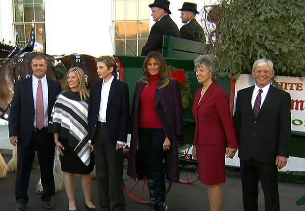 Melania Trump receives White House Christmas tree