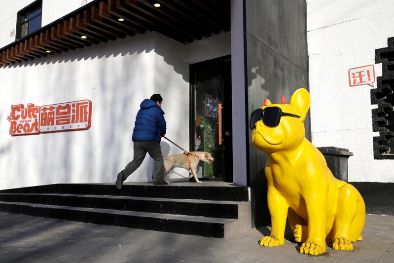 Pet dog Duoduo walks into Cute Beast Pet Resort in Beijing