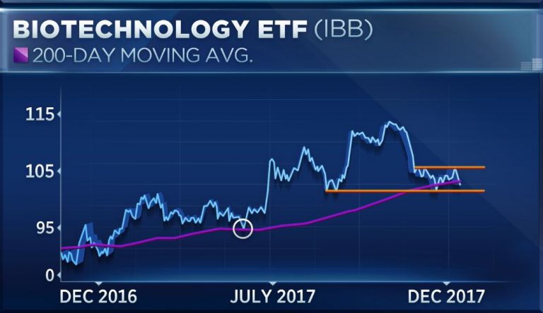 Biotech stocks are at a critical juncture, strategist says