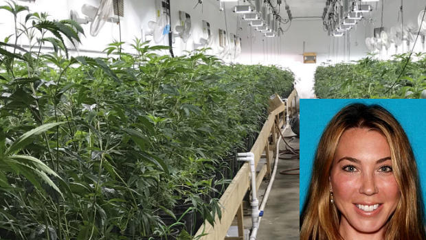 Cops bust multimillion-dollar weed “fortress” in California