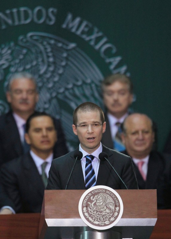 FILE PHOTO: President of Mexico's Congress Ricardo Anaya speaks at the National Palace in Mexico City