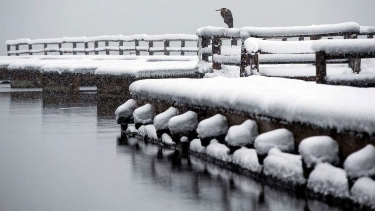 Above average temps for Northeast and Midwest, while Northwest braces for more snow