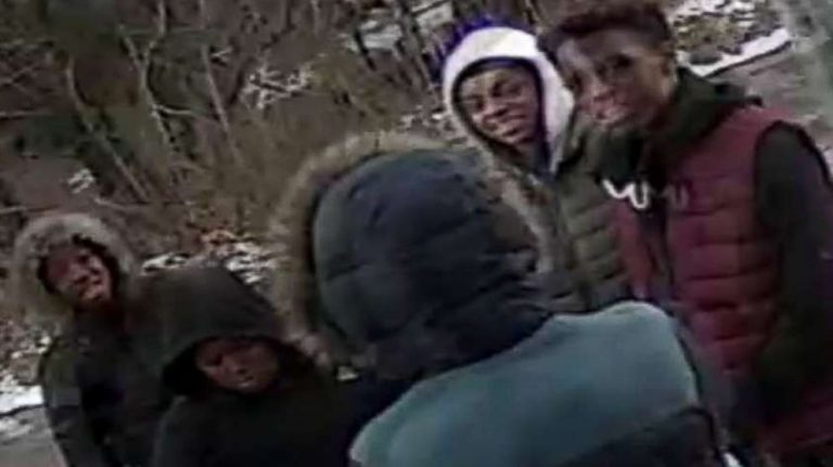 Baltimore police looking for suspects caught on video beating, burning cat