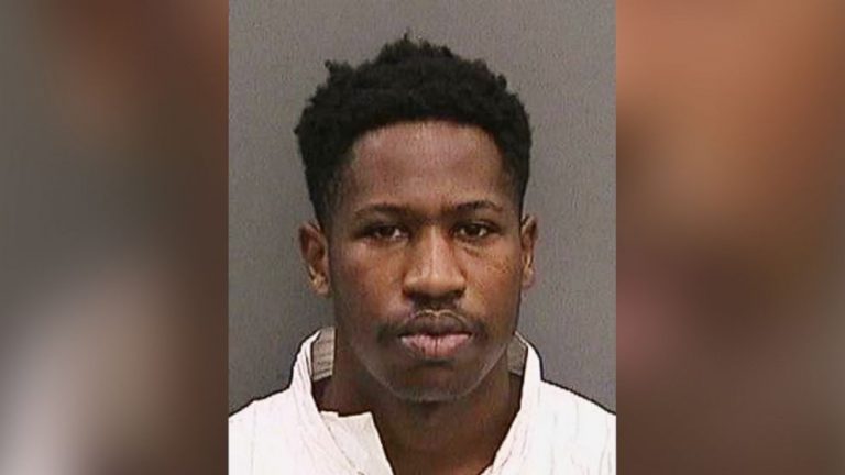 Prosecutors to seek death penalty against suspected Tampa serial killer