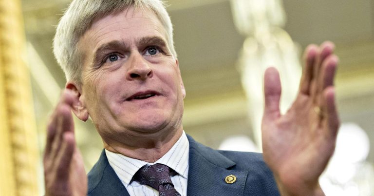 Republican Sen. Bill Cassidy says he thinks an immigration deal will get done by Feb. 8