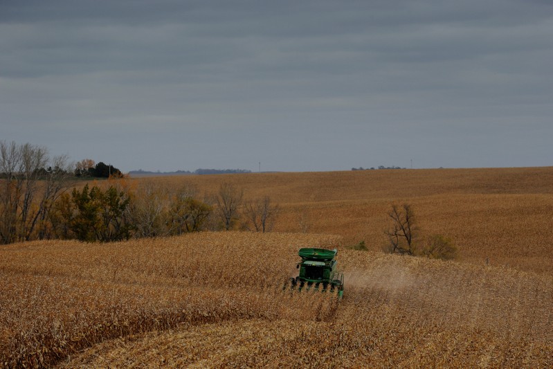 Farmer Blake Erwin drives a combine as he harvests corn on his farm near Dixon, Nebraska