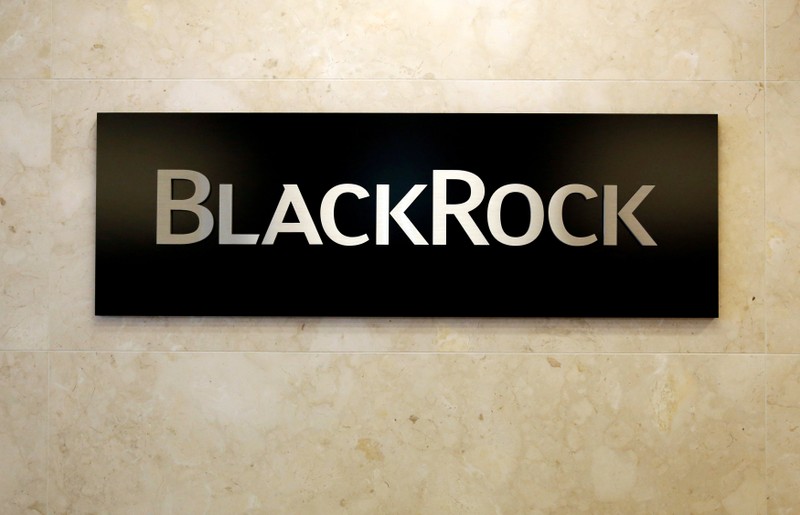 FILE PHOTO: BlackRock logo at the BlackRock Japan headquarters in Tokyo
