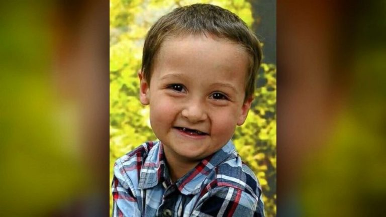 Great-aunt of missing boy says she saw signs of abuse before he disappeared