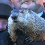 Groundhog Friday, Groundhog Day Edition