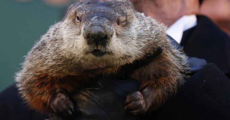 Here are 5 bizarre things you don’t know about Groundhog Day