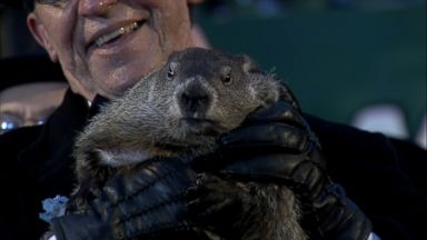 WATCH: Fast facts about Groundhog Day