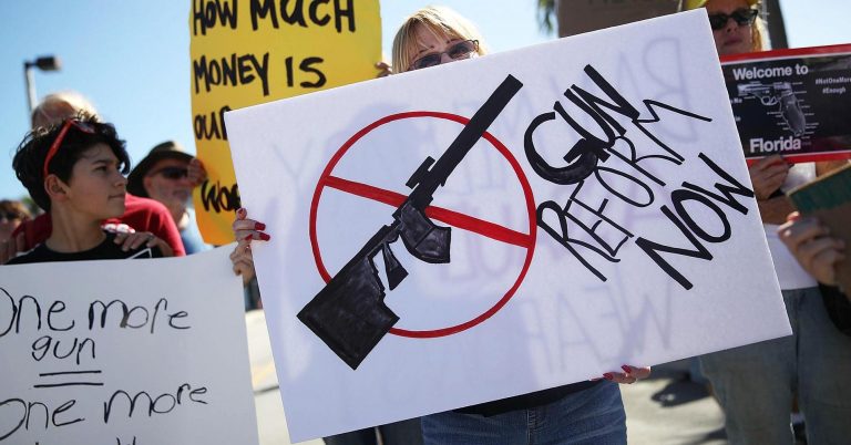 Florida House passes new gun restrictions against NRA wishes