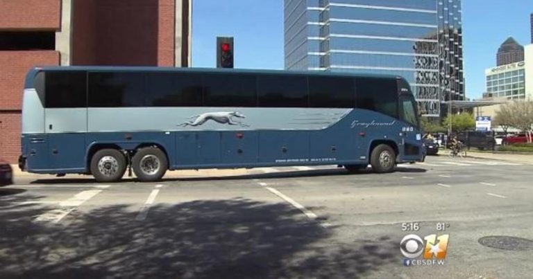 Greyhound bus passengers record mutiny after driver allegedly falls asleep