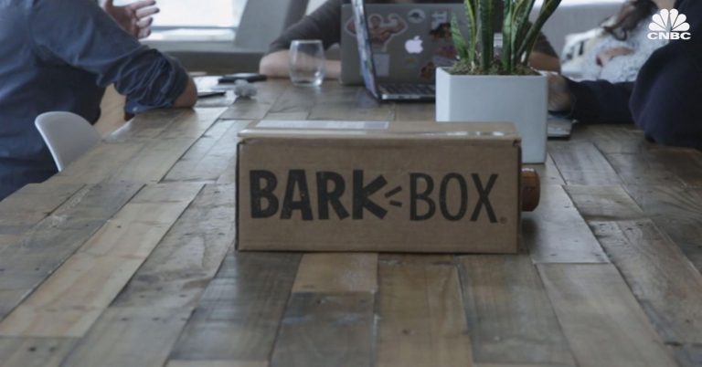 How Bark’s dog-treat delivery business is trying to avoid the downdraft of subscription meal kits