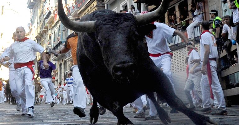 It’s still a bull market, even as tech stocks tank: Analyst