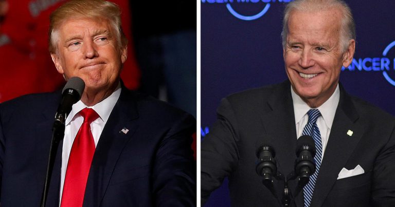 Trump tweets that Biden would “go down” in fight with president