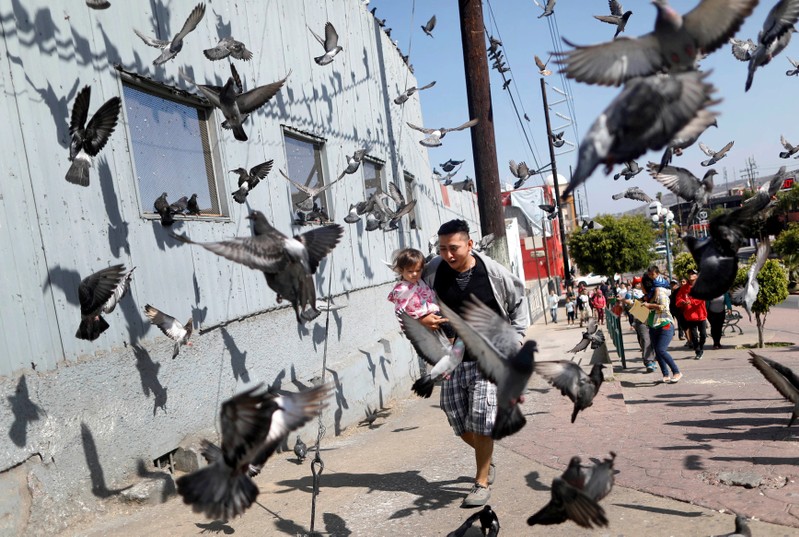 A man and his daughter, members of a migrant caravan from Central America, run between pigeons at the end of their journey through Mexico, prior to preparations for an asylum request in the U.S., in Tijuana