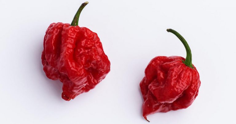 Chili pepper-eating contest lands man in the hospital