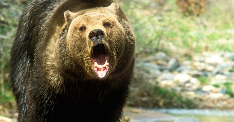 Stocks will retest their correction lows as easy money disappears, a Wall Street bear warns