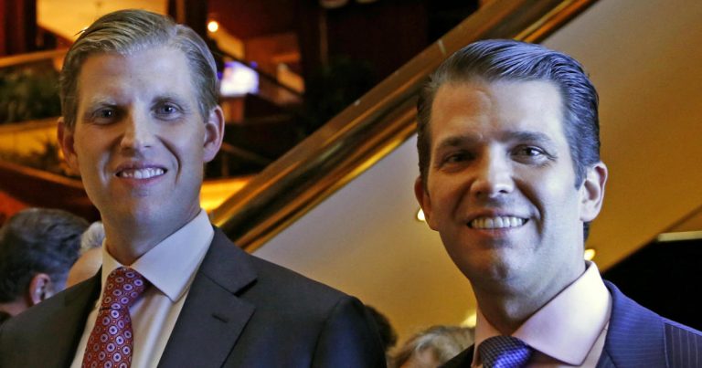 Trump sons’ Dubai trip costs taxpayers at least $73,000