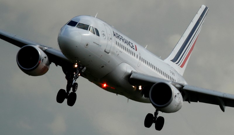 FILE PHOTO: An Air France Airbus A319-111 airplane prepares to land at the Charles de Gaulle Airport in Roissy