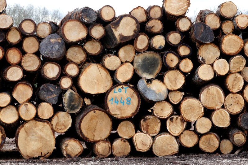 Chopped oak logs are seen at the Margaritelli Fontaines sawmill in Burgundy