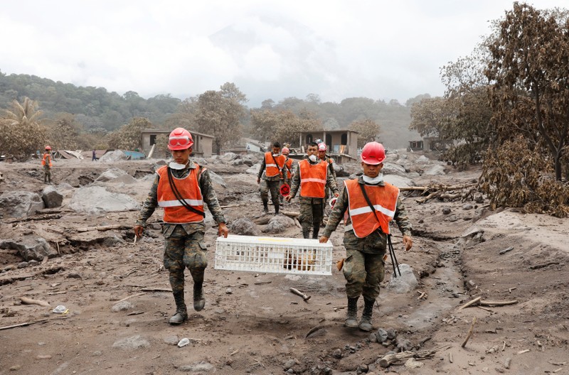 Rescue workers carry poultry at an area affected by the eruption of the Fuego volcano at San Miguel Los Lotes, Escuintla