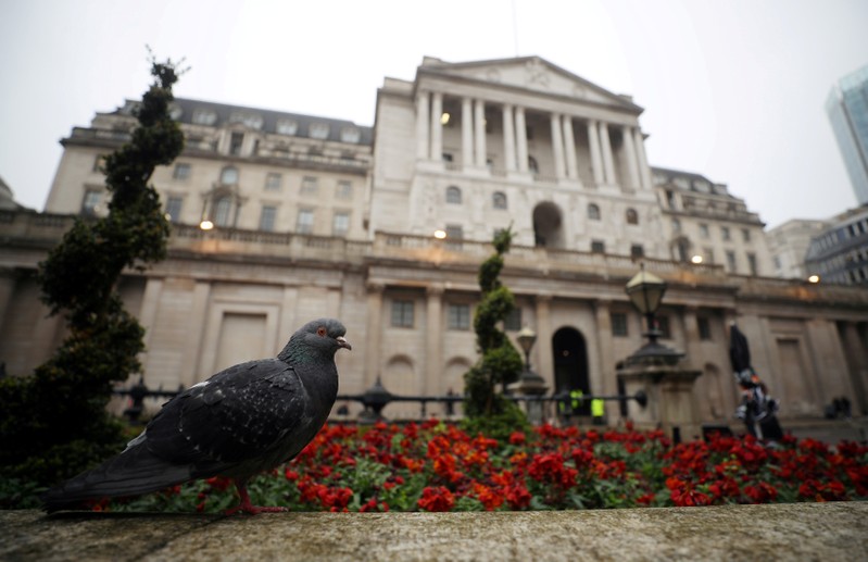 FILE PHOTO: A pigeon stands in front of the Bank of England in London