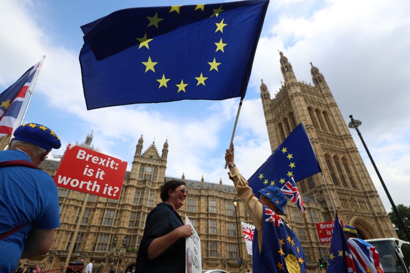 Pro-EU supporters demonstrate outside the Houses of Parliament in Westminster, London