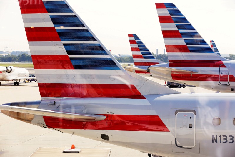 FILE PHOTO: American Airlines aircraft are parked at Ronald Reagan Washington National Airport in Washington.