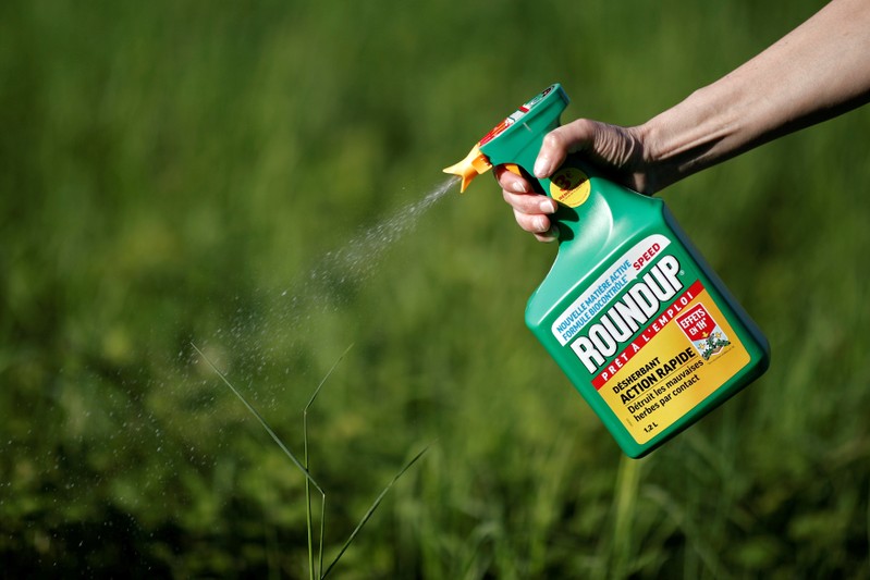 FILE PHOTO: A woman uses a Monsanto's Roundup weedkiller spray without glyphosate in a garden in Ercuis near Paris