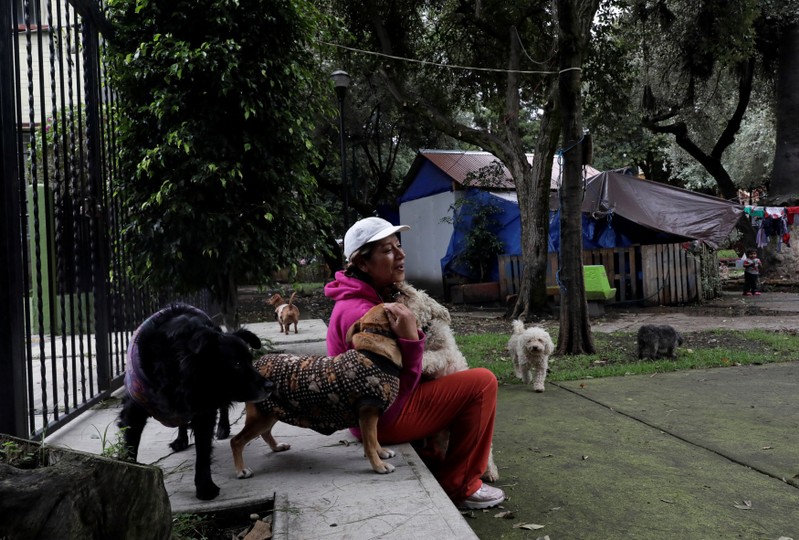 Maria Guadalupe Padilla is pictured with her dogs beside her tent in the Tlalpan neighbourhood, near the site where her building was damaged by the devastating earthquake, that took place in Mexico City last year