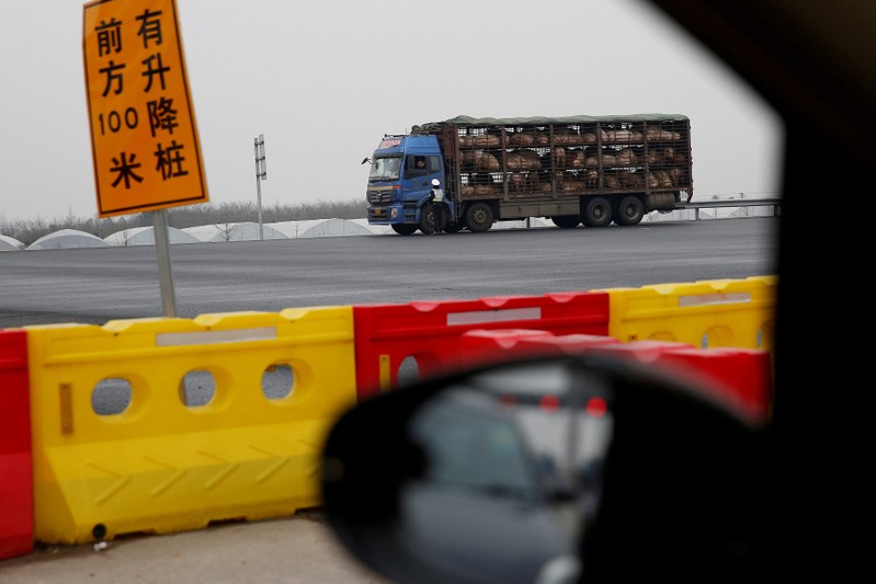 FILE PHOTO: Police officer checks a truck transporting pigs on a highway in Shanghai