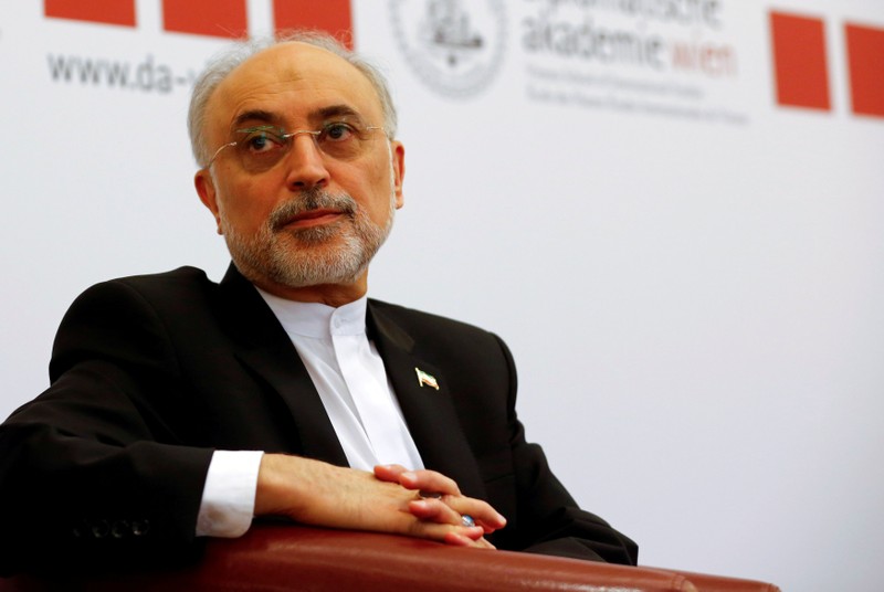 FILE PHOTO: Head of the Iranian Atomic Energy Organization Ali Akbar Salehi attends a lecture in Vienna