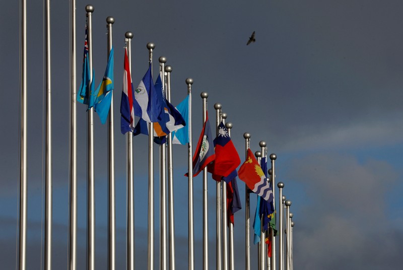 FILE PHOTO: A bird flies around the flagpoles of the national flags inside the Diplomatic Quarter, where Taiwan ally embassies located, in Taipei