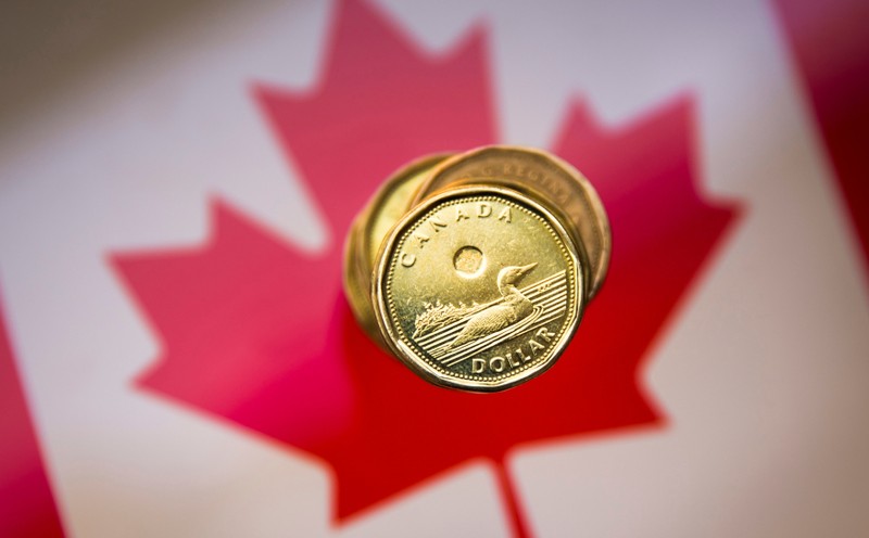 FILE PHOTO: A Canadian dollar coin commonly known as the 