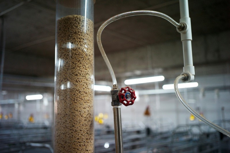 FILE PHOTO: Part of an automatic feeding system is seen inside Guangxi Yangxiang's high-rise pig farm at Yaji Mountain Forest Park in Guangxi