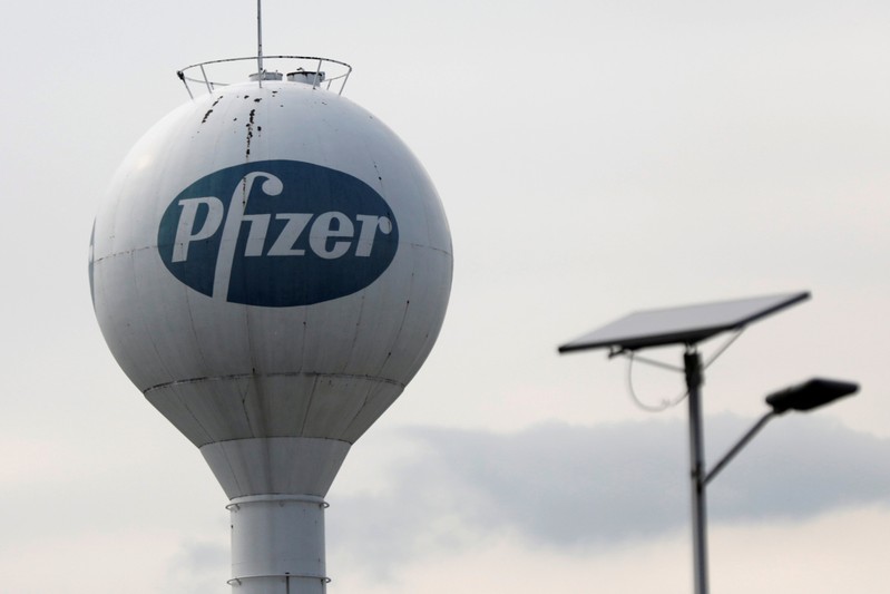 FILE PHOTO: A logo of American pharmaceutical corporation Pfizer Inc., is pictured in Toluca