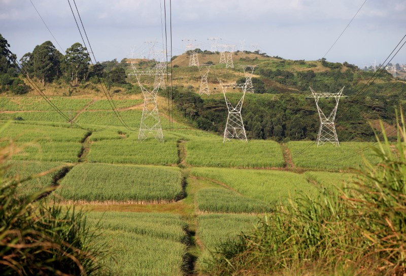 FILE PHOTO: Power lines supplying electricity by stated owned Eskom run through sugar cane fields on a Tongaat Hulett farm in Shongweni